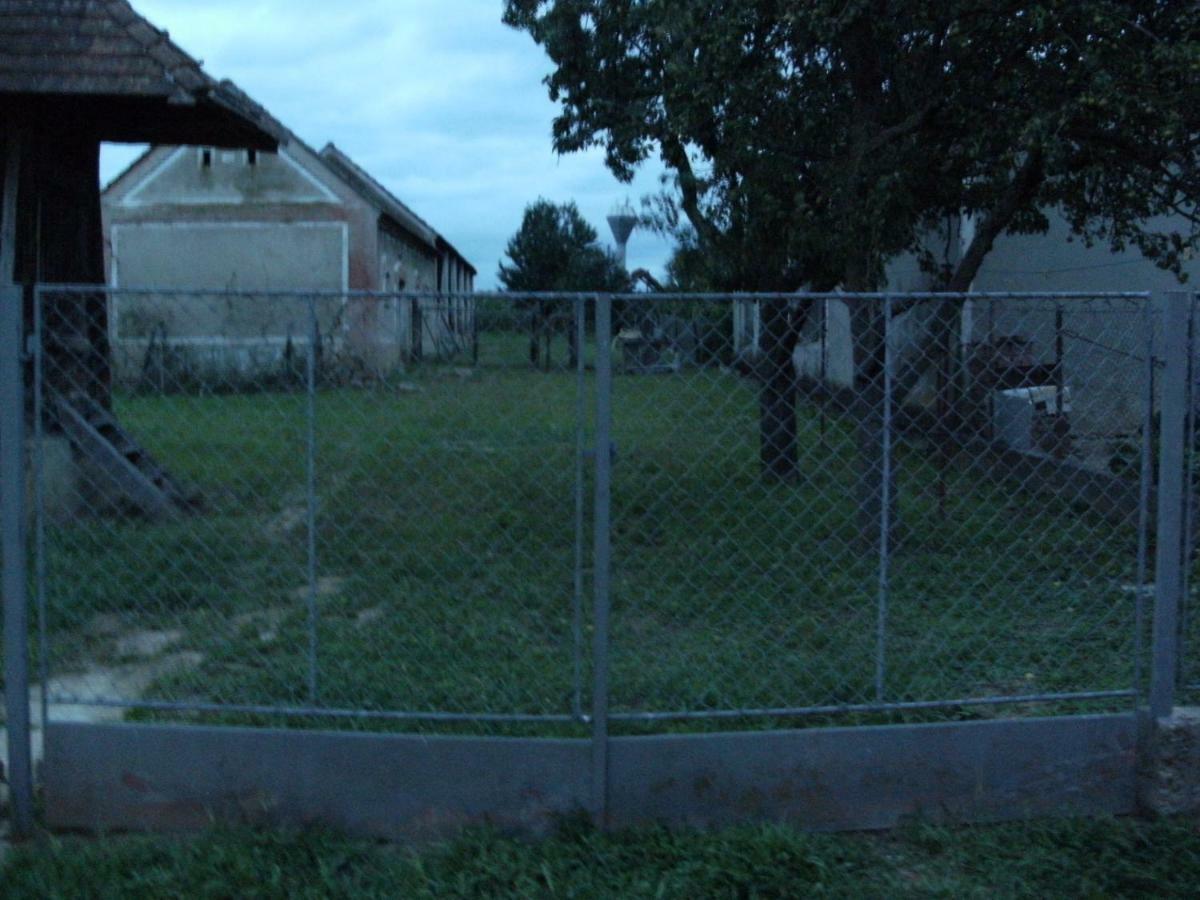 98 Petofi Utca Villa Balatonmagyarod Luaran gambar